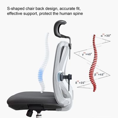 Mahmayi M18 Office Desk Chair, Ergonomic Computer Office Chair with Adjustable Headrest and Lumbar Support, High Back Executive Swivel Chair Black